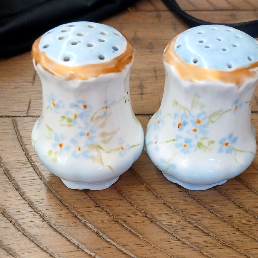 Vintage Floral Ceramic Salt and Pepper Shakers